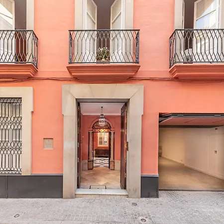 Ohliving Virgenes 7 Sevilla
